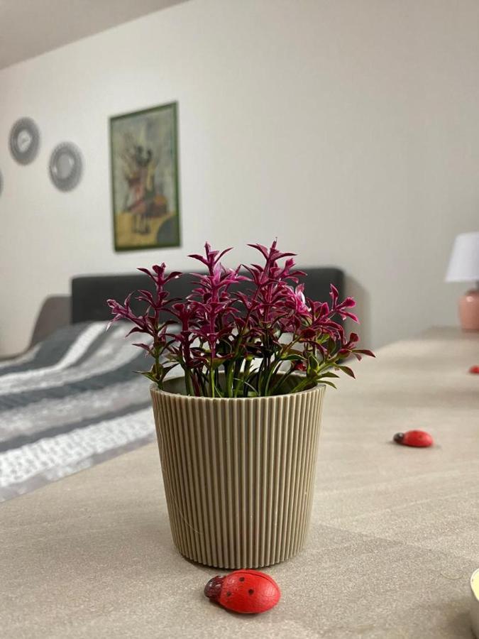 Cozy Apartment Ladybug, סראייבו מראה חיצוני תמונה